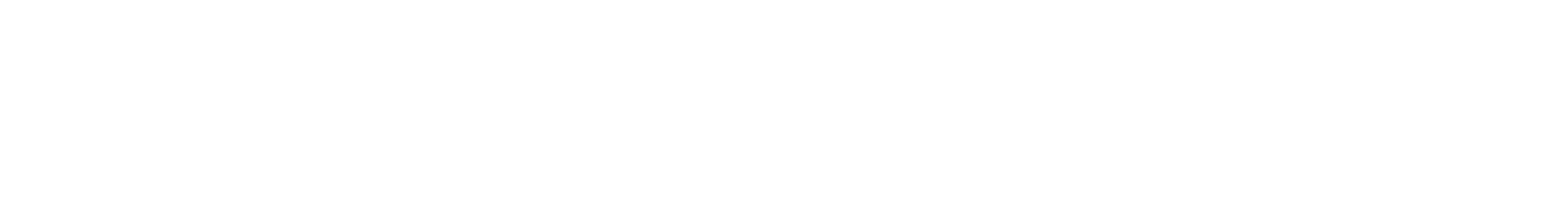 The Silicon Review Logo